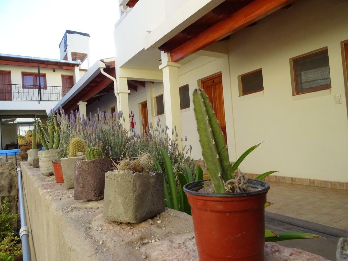 Casa Cactus Cafayate Hotel Bagian luar foto